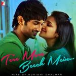 album image Kamli Tere Mere Beech Mein - Hits of Sunidhi Chauhan