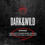 album image Blanket Kick/Embarrassed (이불킥) DARK&WILD