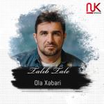 album image Ola xeberi Ola Xəbəri - Single