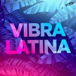 album image Suave TikTok Vibra Latina