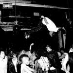 album image Fell in Love Die Lit