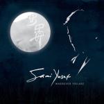 album image Salaam Wherever You Are