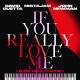 David Guetta & MistaJam feat. John Newman - If You Really Love Me (How Will I Know) (Extended)