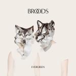 album image Bridges Evergreen