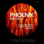 poster Rise up 20 (Desyfer & Hypnosis remix) Rise Up 20, Vol. 3