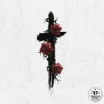 poster Roses (Imanbek Remix) Roses (Imanbek Remix)